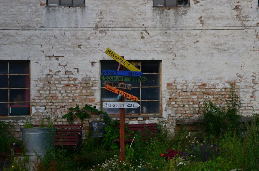 dsc_7311.jpg