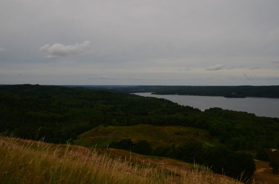 dsc_7378.jpg