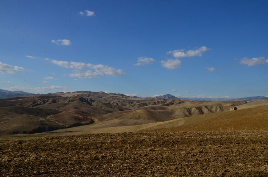 dsc_9753.jpg